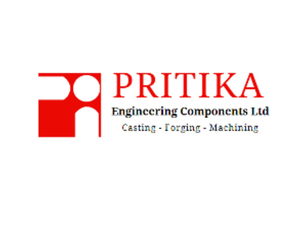 Pritika Engineering Component's Consolidated Q1FY25 EBITDA Surged 32 per cent