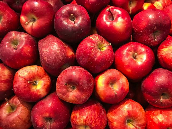 Himachal Pradesh Apple Farmers Call for Immediate Action to Raise Minimum Import Price (MIP) Amid Crisis