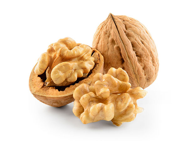 Walnuts from Chile new season in India