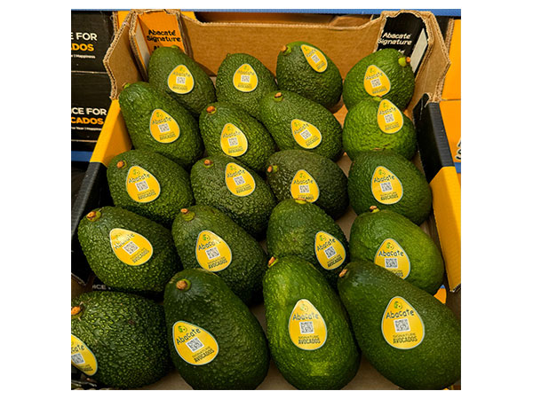 Abacate International Introduces Signature Avocados to India: Creamier, tastier, and superior in every way