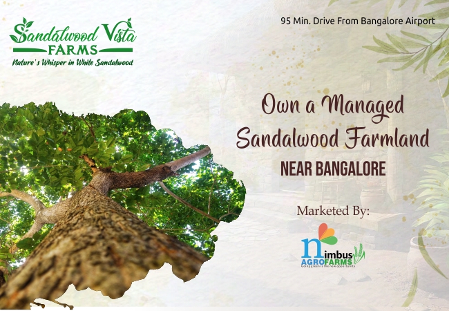 Estatebull Realtors Launches Sandalwood Vista Farms