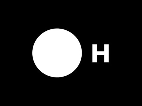 The H Company (H) Logo