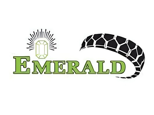 Emerald Tyre Manufacturers Limited IPO Opens on December 05, 2024