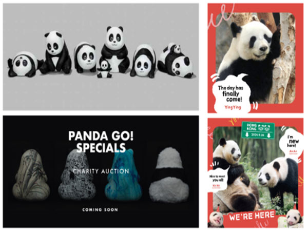 Clockwise: Eight new panda sculpture designs, the New Pandas in their habitat: Ying Ying, Ke Ke, An An, and a teaser poster for the Special Edition Pandas