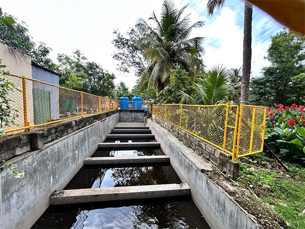 Natural purification at work: Art of Living Ashram's biofilters use plants and microorganisms to cleanse grey water without chemicals