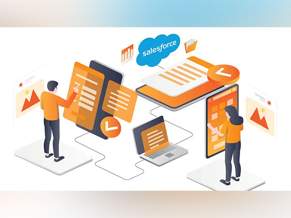 The Key Steps to Achieving Proficiency in Salesforce Application Testing