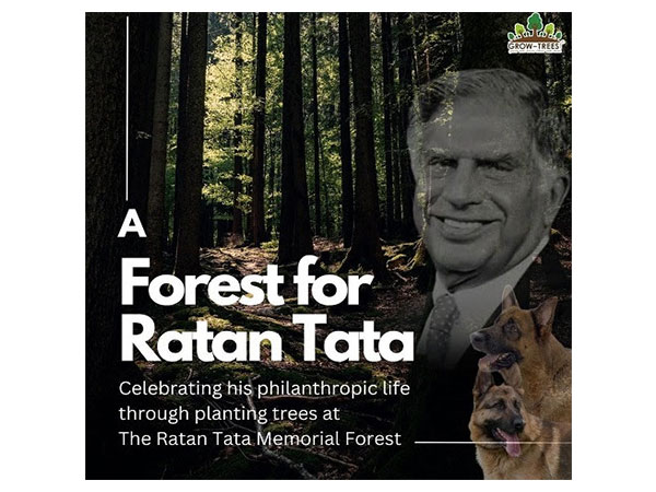 The Ratan Tata Memorial Forest, which is part of Grow-Trees.com's Trees+ for the Himalayas initiative