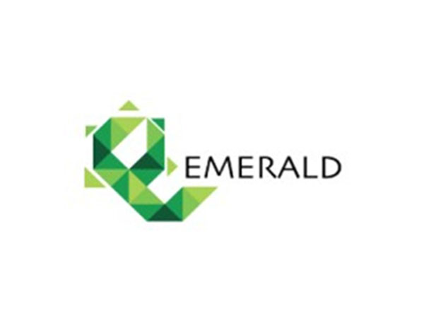 Emerald Finance Limited's Consolidated Q3FY25 Net Profit Soars 109 Percent