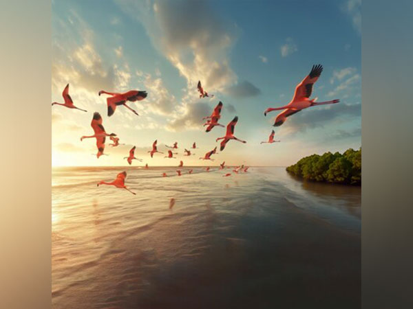 Thousands of flamingos grace Navi Mumbai's iconic wetlands, offering a stunning natural spectacle near New Palm Beach