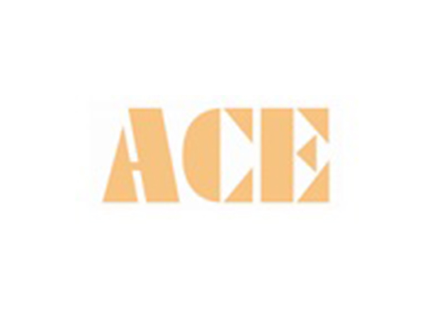 ACE Posts Robust Q3 FY25 - Total Income Up by 16.6 Percent YoY with Expanded Margins