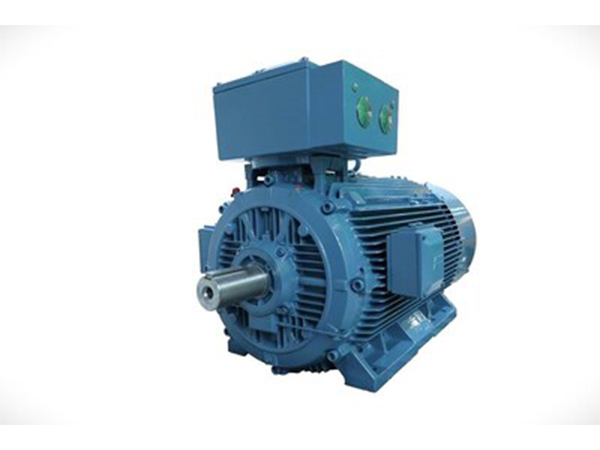 ABB India LV Flameproof Motor