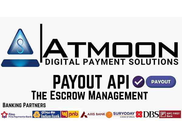 Unlocking Efficiency with AtmoonDPS's Payout API