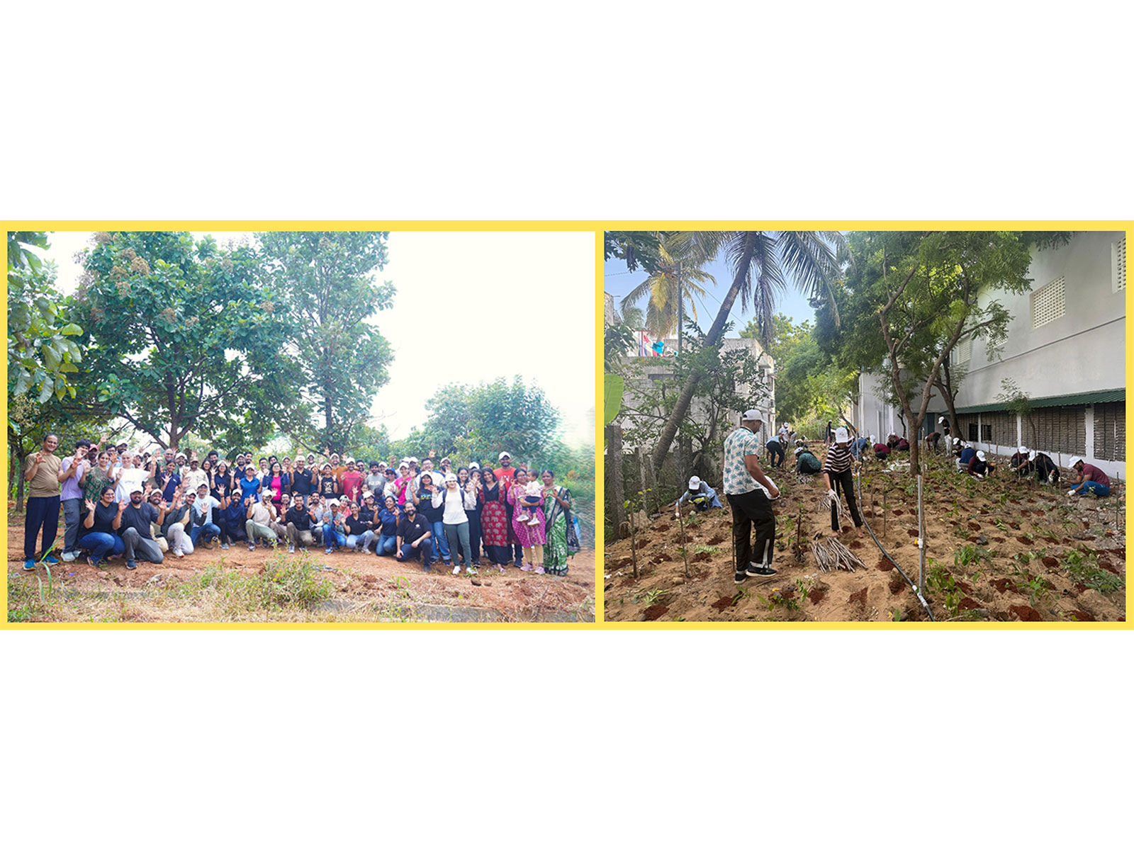 Tiger Analytics & Ruva Foundation Plant 6,000 Saplings in Chennai and Bengaluru to Mark International Ozone Day