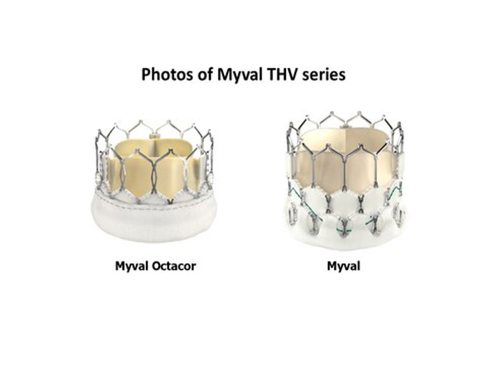 Photos of Myval THV series