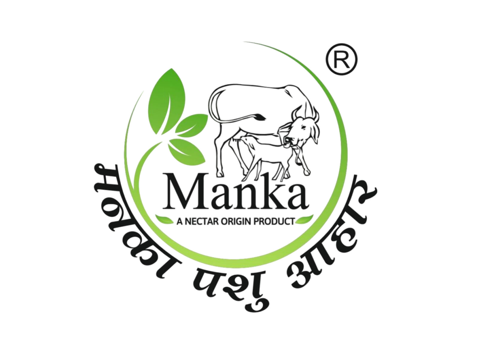Nectar Origin's Manka Pashu Aahar Strengthens India's Dairy Sector with Premium Cattle Nutrition