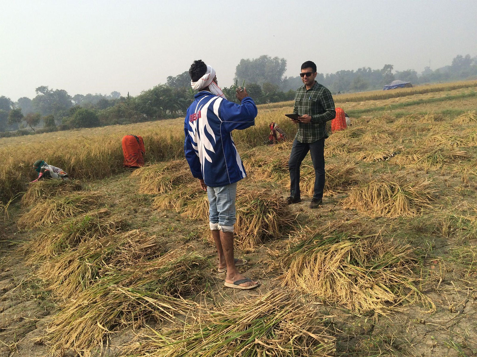 From Soil to Soul: How Anuraj Rana's ASAVI® is Resurrecting India's 'Stone-Ground' Heritage to Combat a Modern Health Crisis