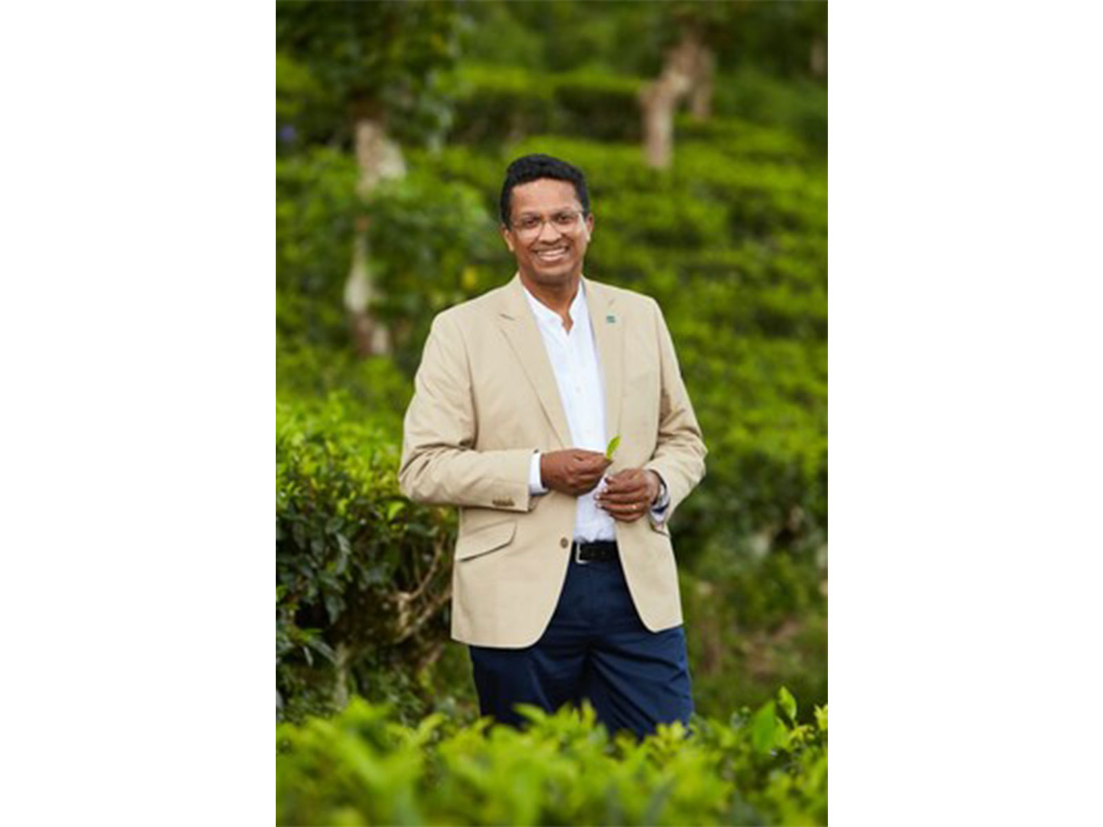 Dilmah Tea: 2026 could be the toughest year for tea growers