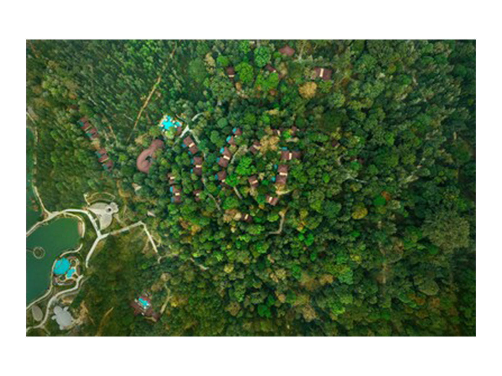 The Leela Coorg Forest Sanctuary - Aerial View