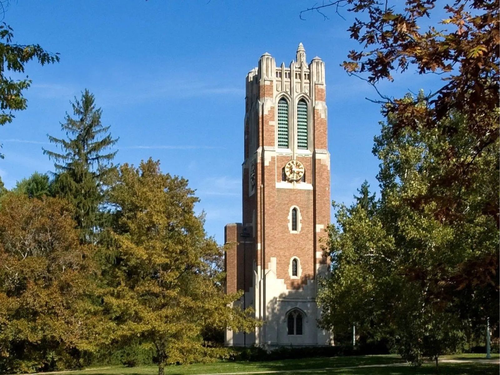 24-week online programme brings Michigan State University's supply chain expertise to professionals seeking sharper capability across procurement, logistics, operations and global strategy