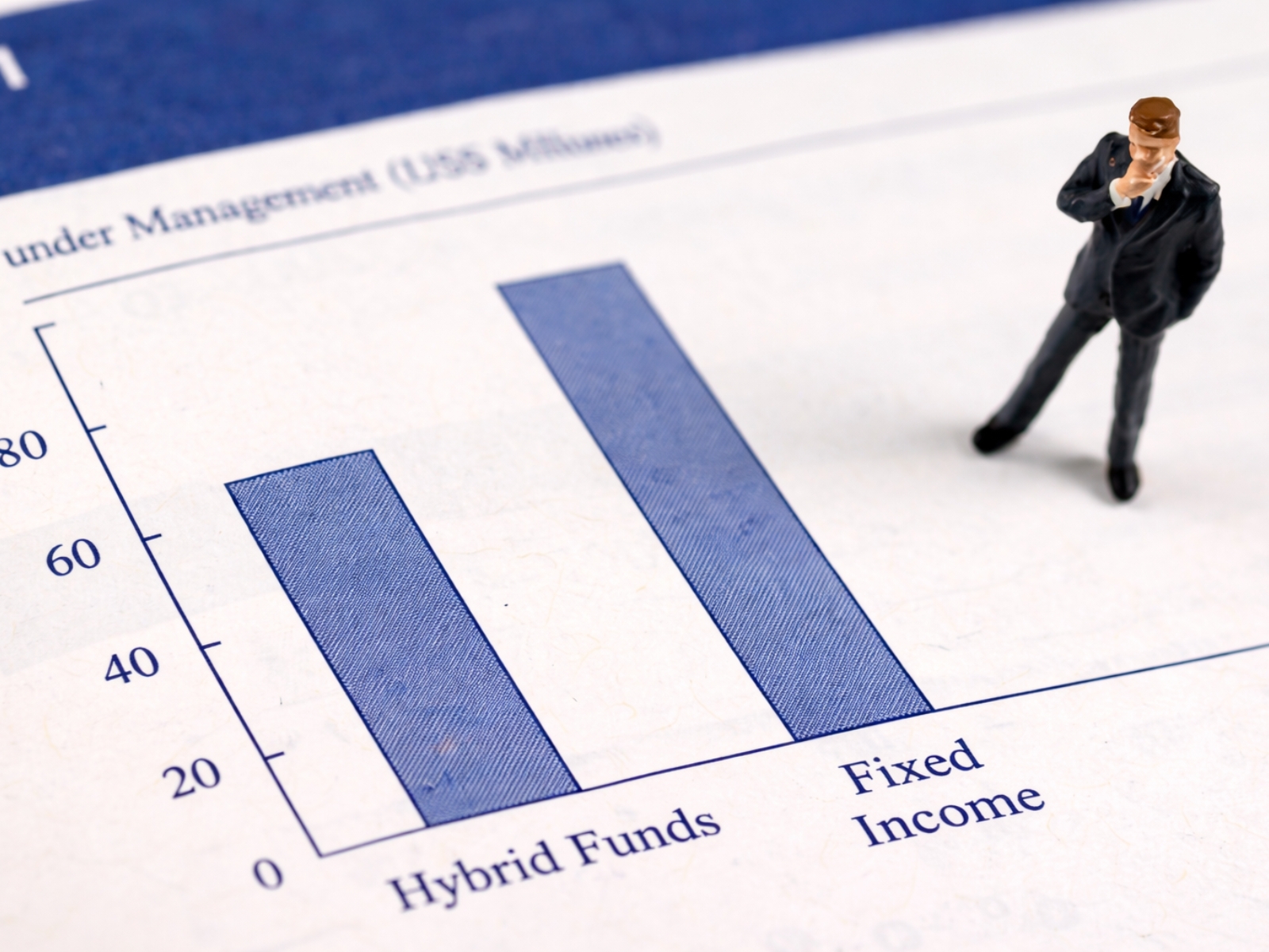 Fixed-Income Funds vs Fybrid Funds: Allocation Differences