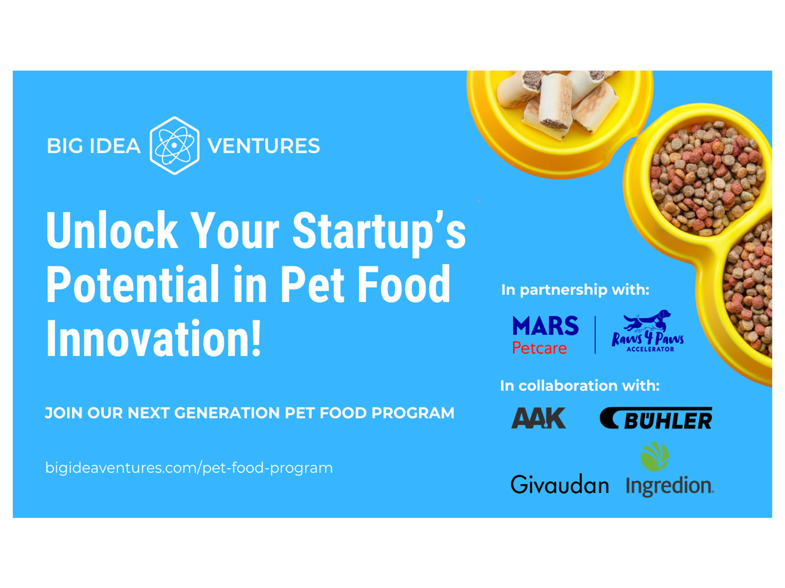  Unlock Your Startup's Potential in Pet Food Innovation