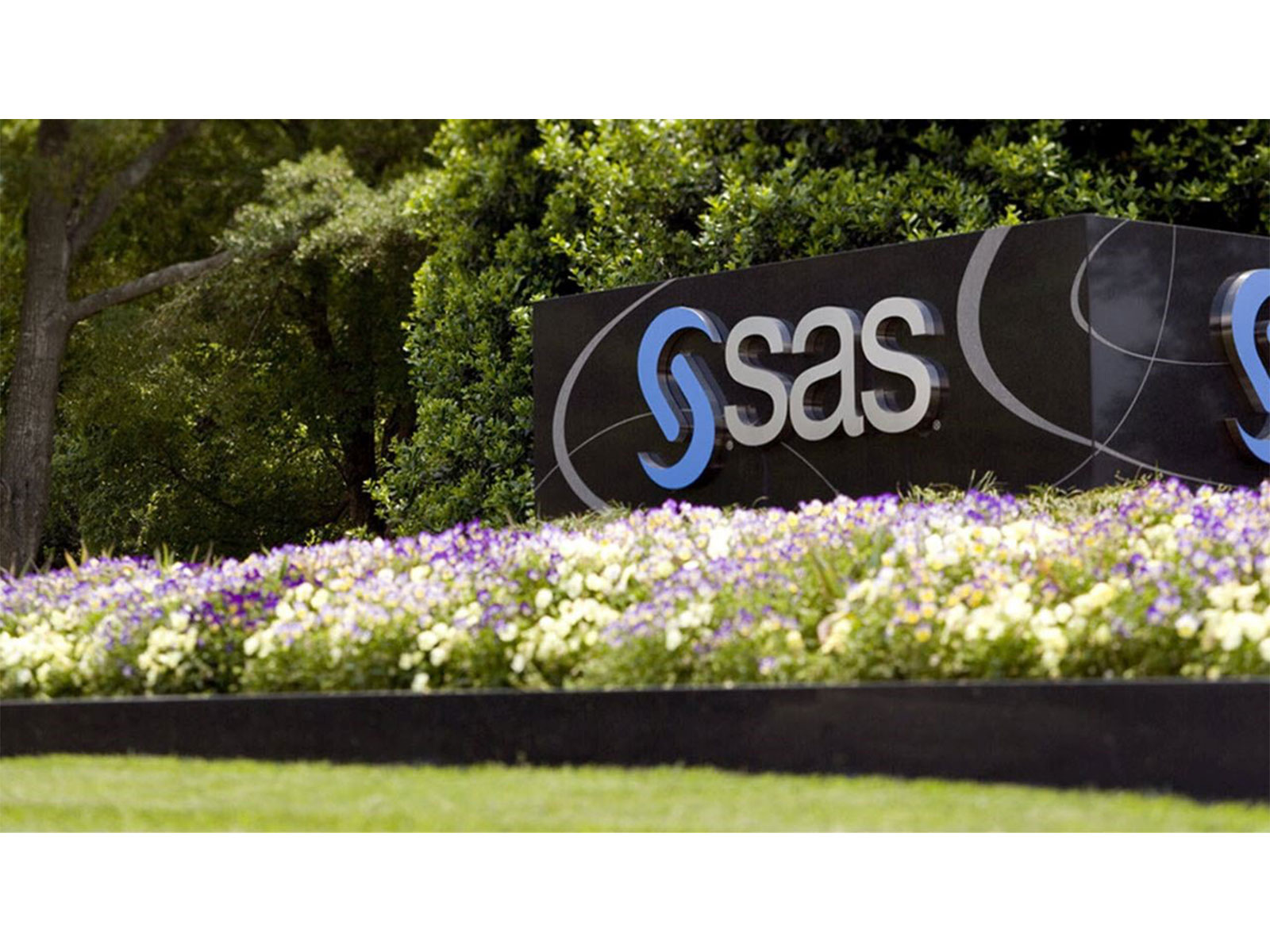 Discover How Trusted AI Drives Real Impact at SAS Innovate on Tour Mumbai