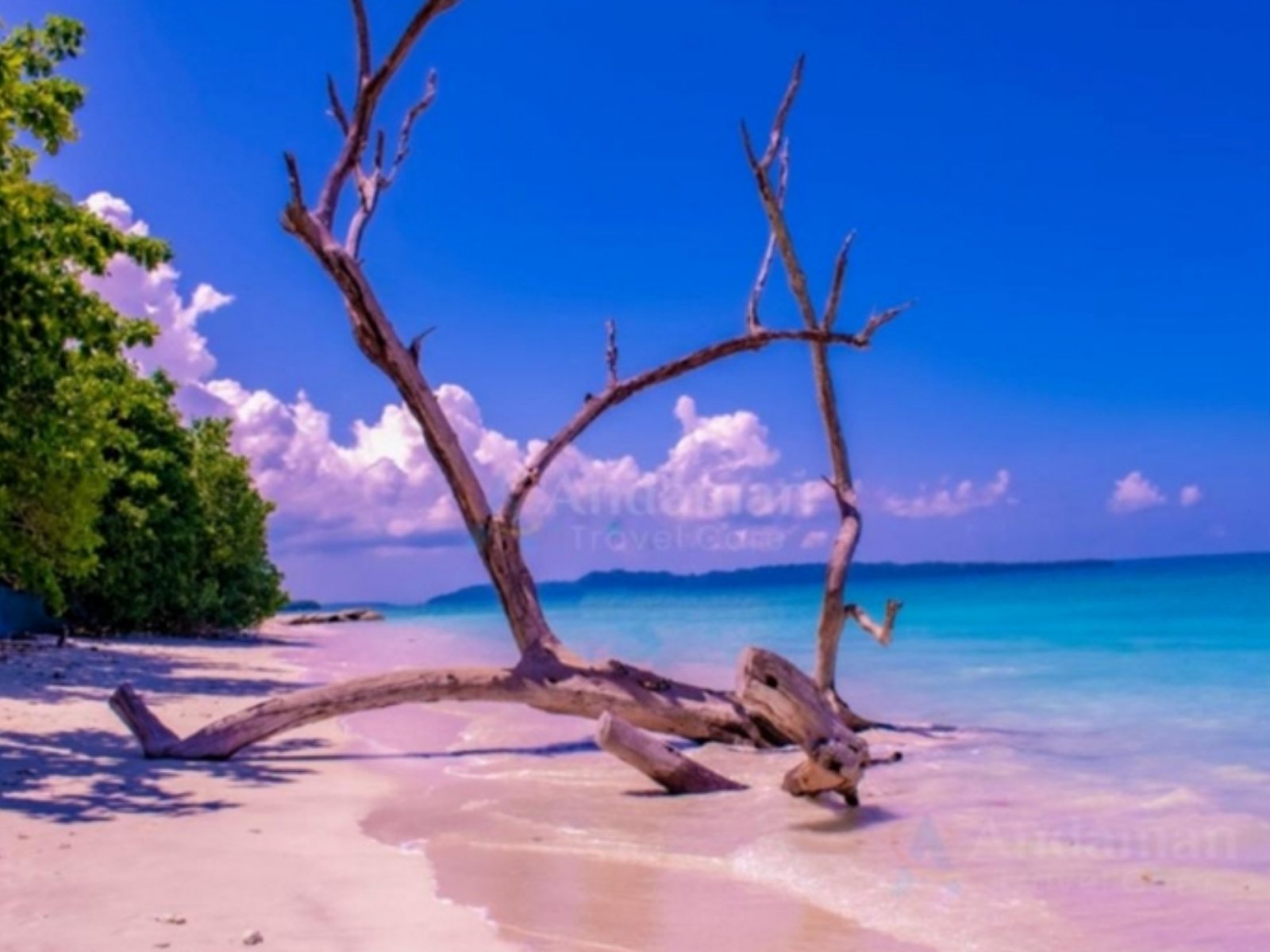 Andaman Travel Care Recognized for Customized Andaman Tour Packages and Honeymoon Travel Experiences