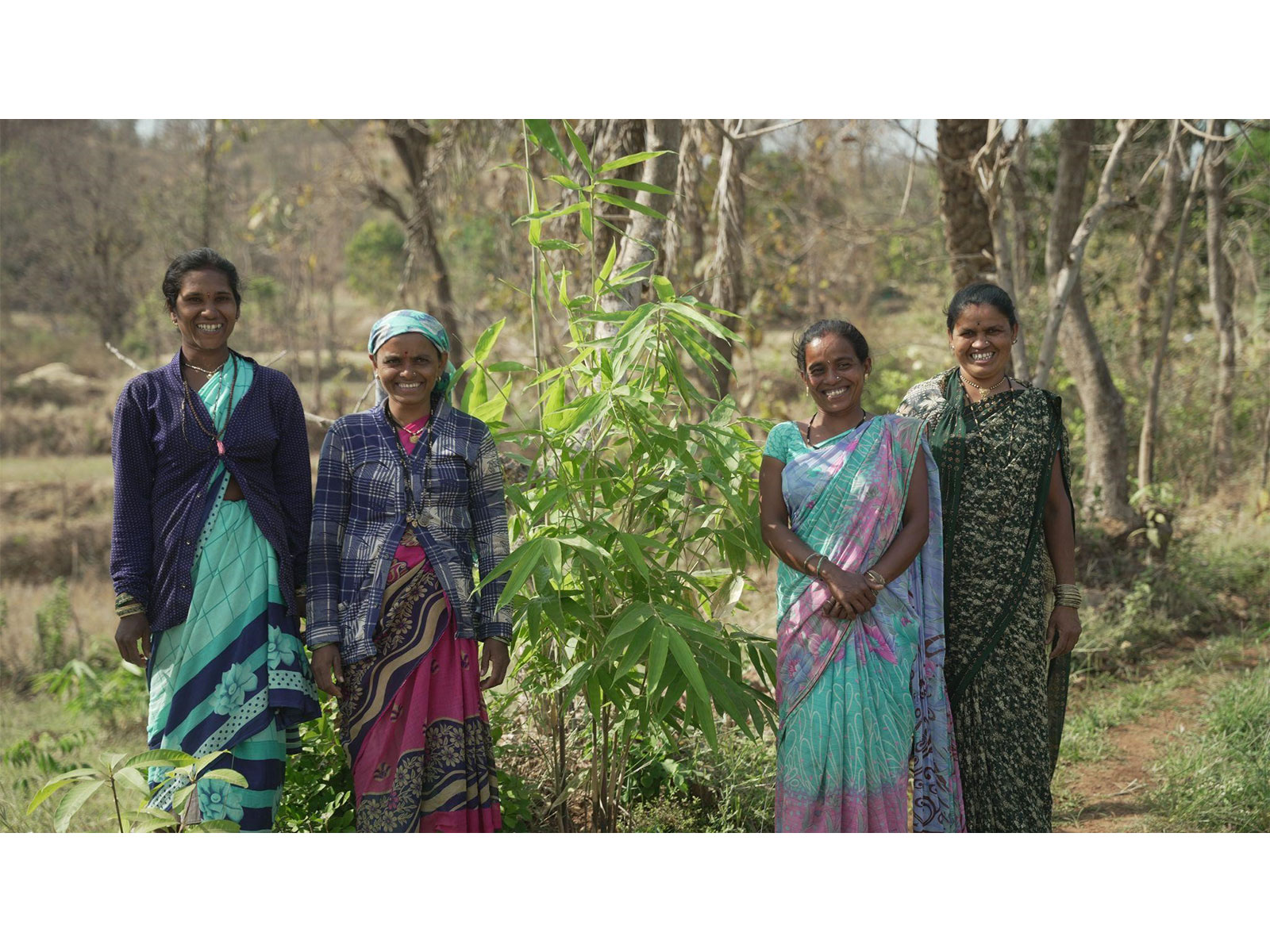 Industree Foundation Secures India's First FSC® Forest Management Certification for Smallholder Bamboo Farmers, Opening Doors to Global Markets