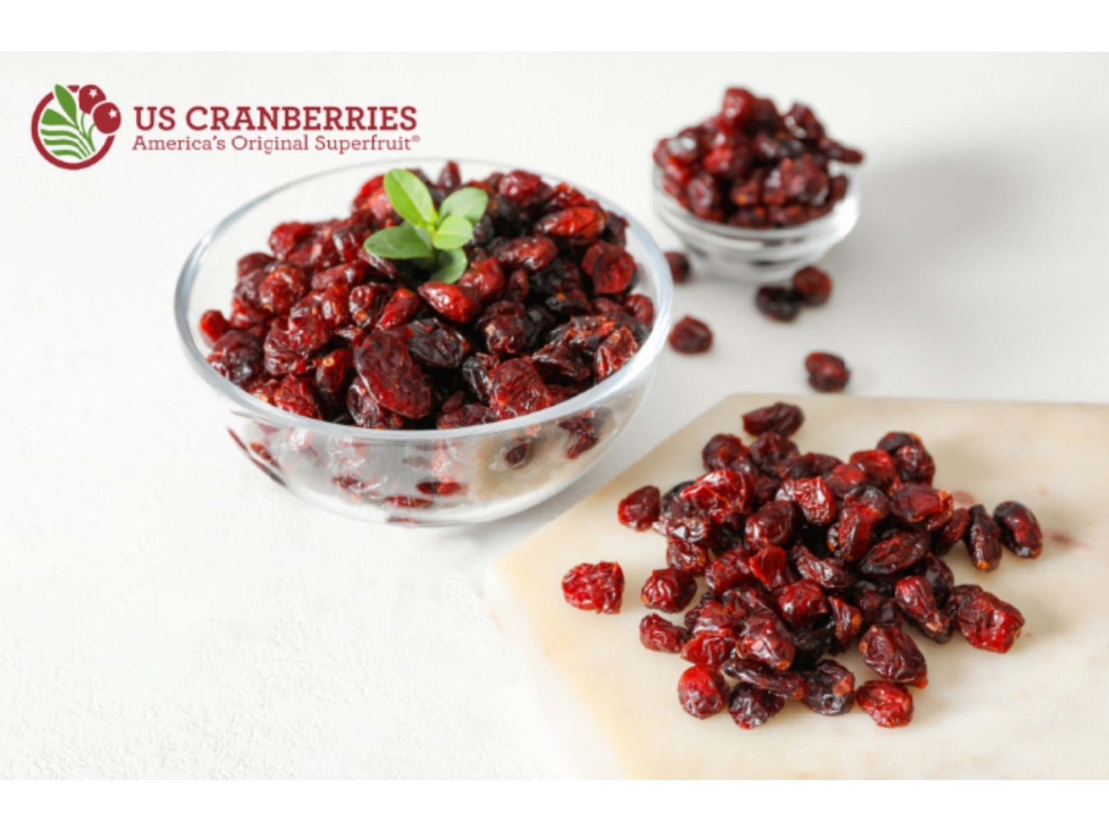 Cranberries and Digestive Health: Supporting the Stomach and Gut from Within