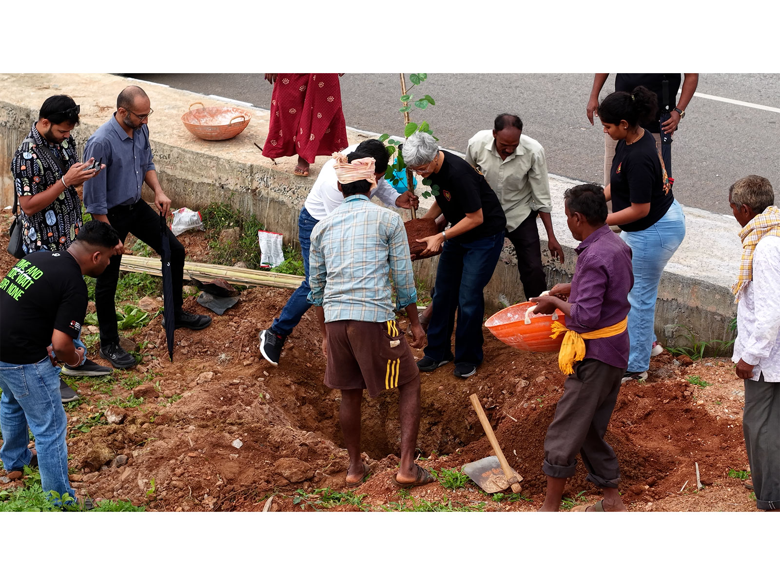 Bloom Avenue: A Year-Round Flower Corridor on Bengaluru's Major Arterial Road in Kempegowda Layout