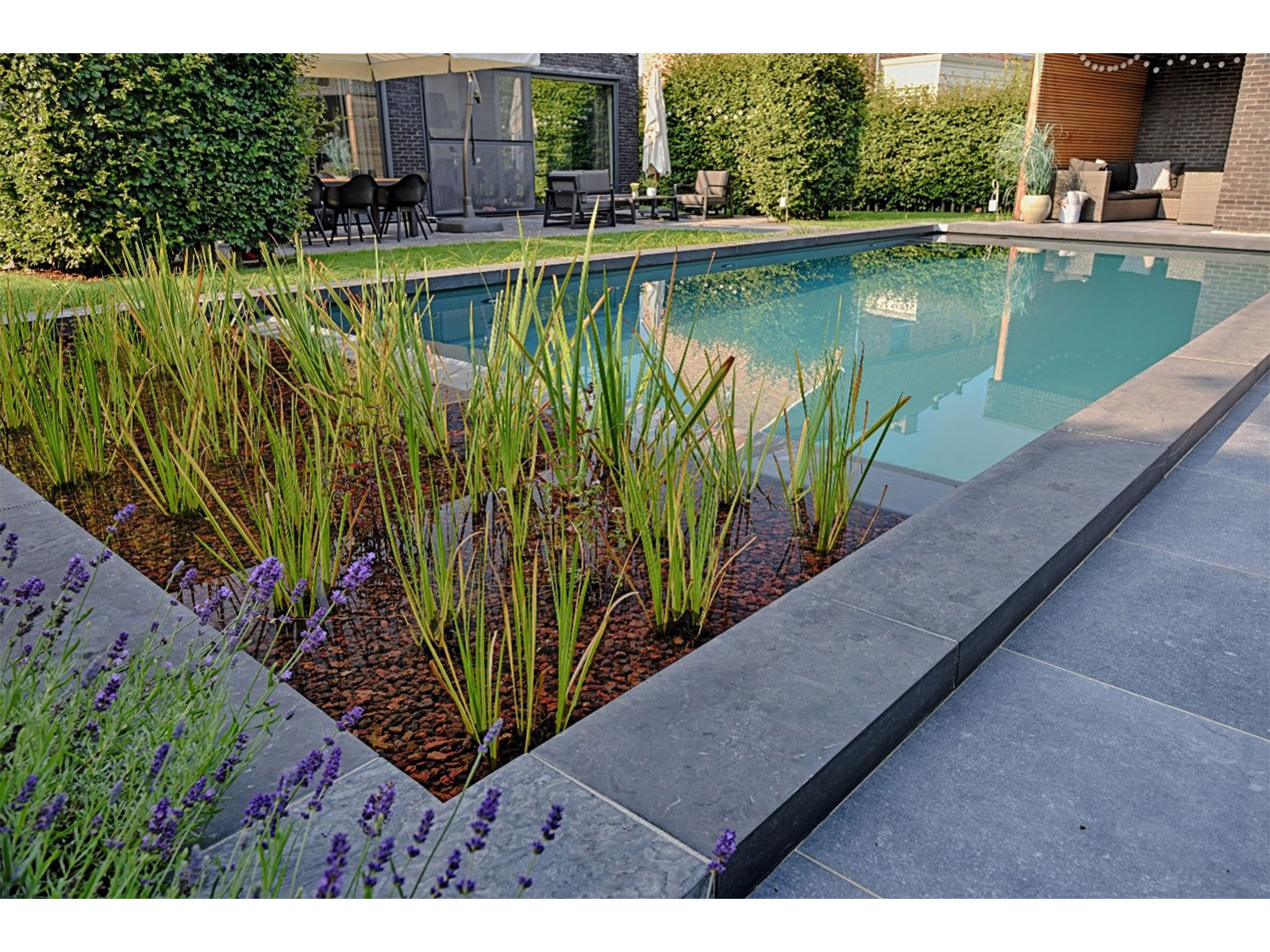 EcoScapes Landscaping Collaborates with Fluidra India to Source Premium Bio Swimming Pool Systems and Materials