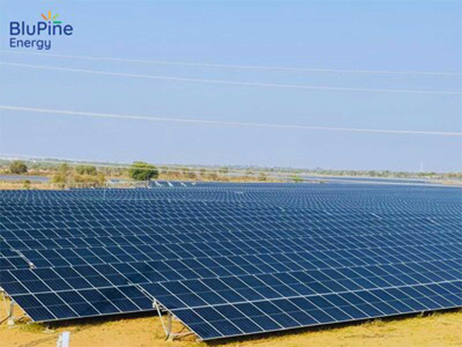 BluPine Energy continues to expand its Commercial & Industrial renewable energy portfolio across Rajasthan. Pictured: BluPine's Bhopalgarh solar project.