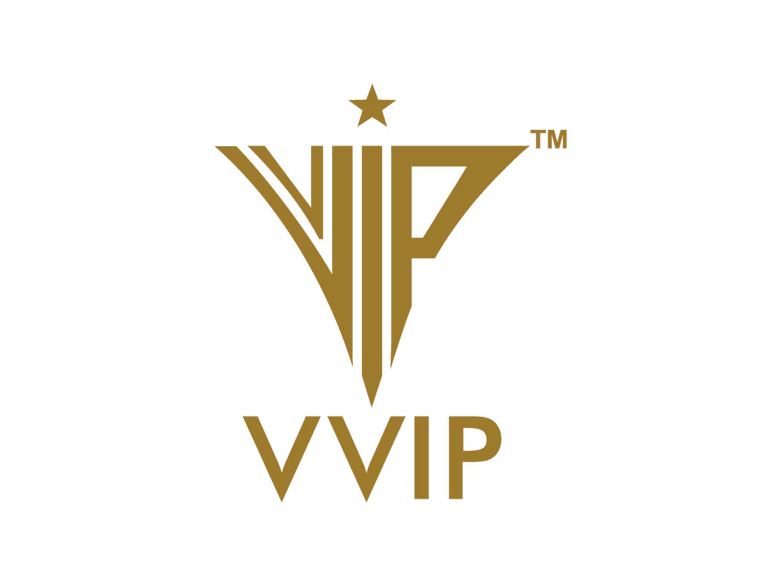 VVIP Infratech bags ₹198.5-crore Delhi Jal Board sewerage order; order book crosses ₹1,072 crore