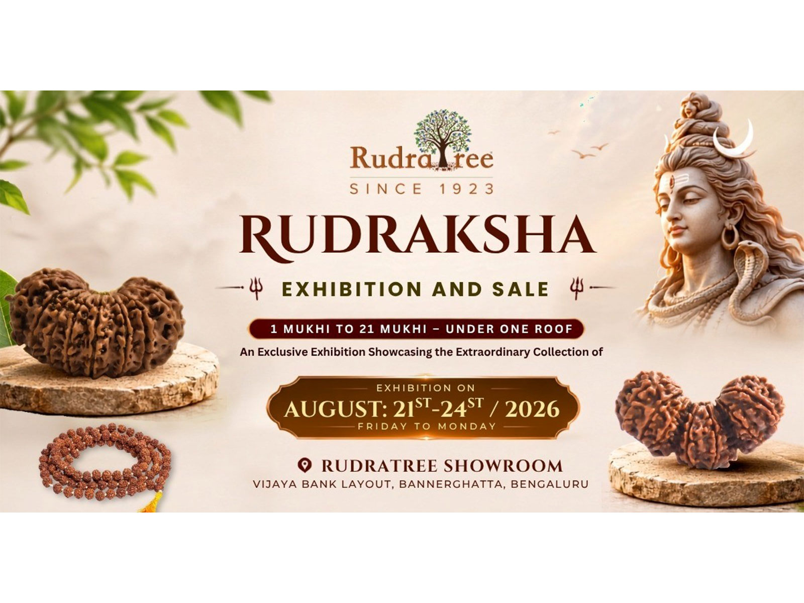 Rare Rudraksha Exhibition and sale to Showcase 1 Mukhi to 21 Mukhi Rudrakshas in Bengaluru