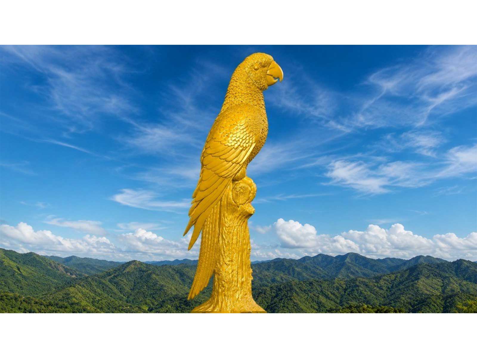 Dominica to build world's biggest parrot statue