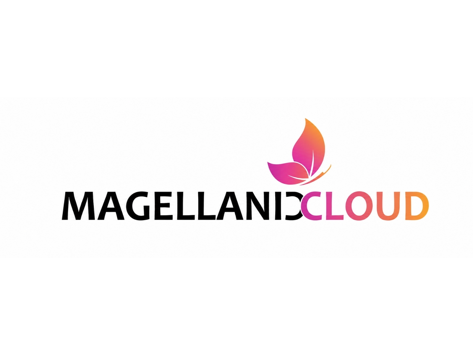 Magellanic Cloud Secures 3rd Consecutive Order from Government of India Undertaking DFCCIL