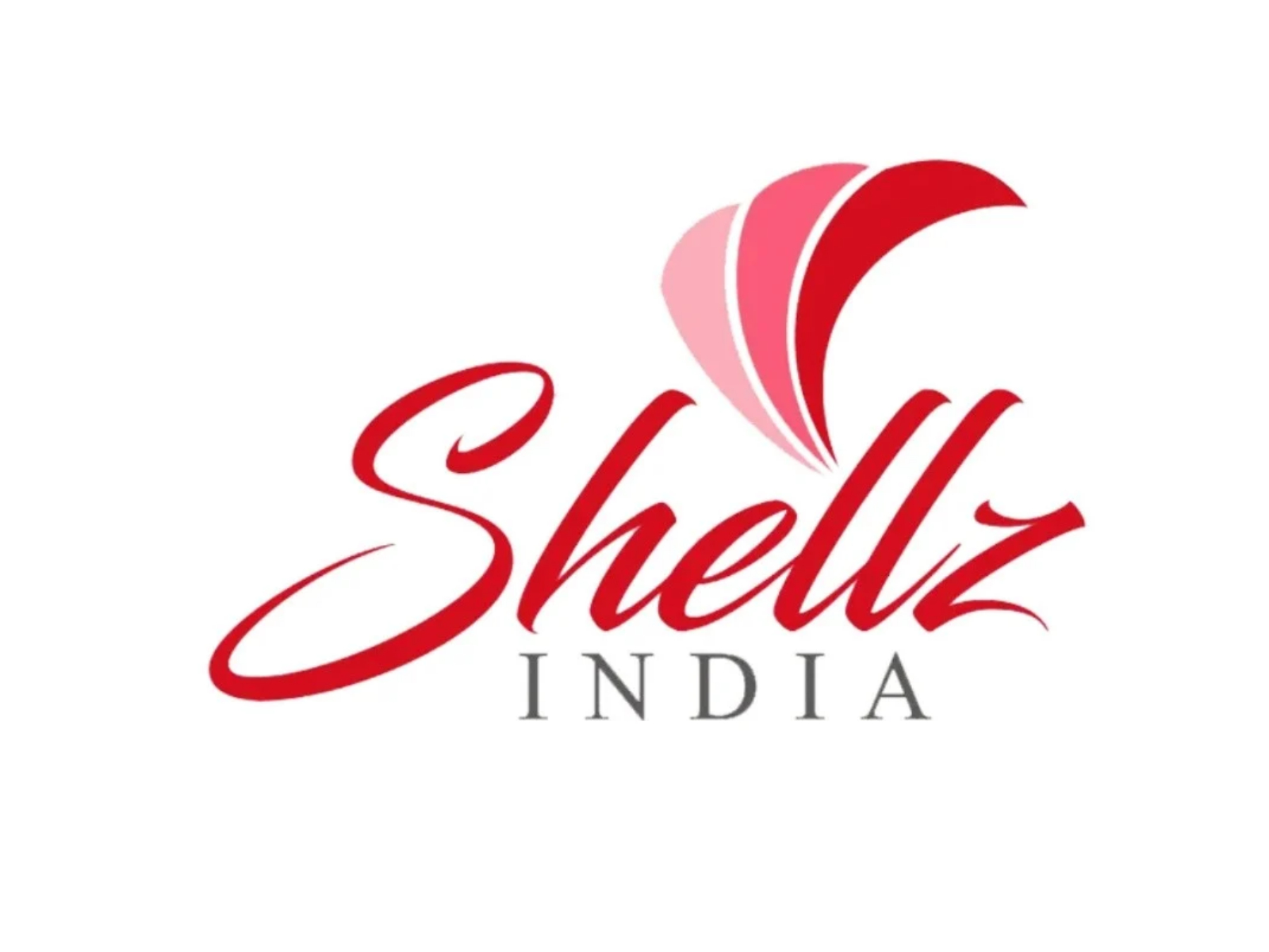 Shellz India Limited Secures Rs 16.19 Crore from Anchor Investors Ahead of SME IPO Opening