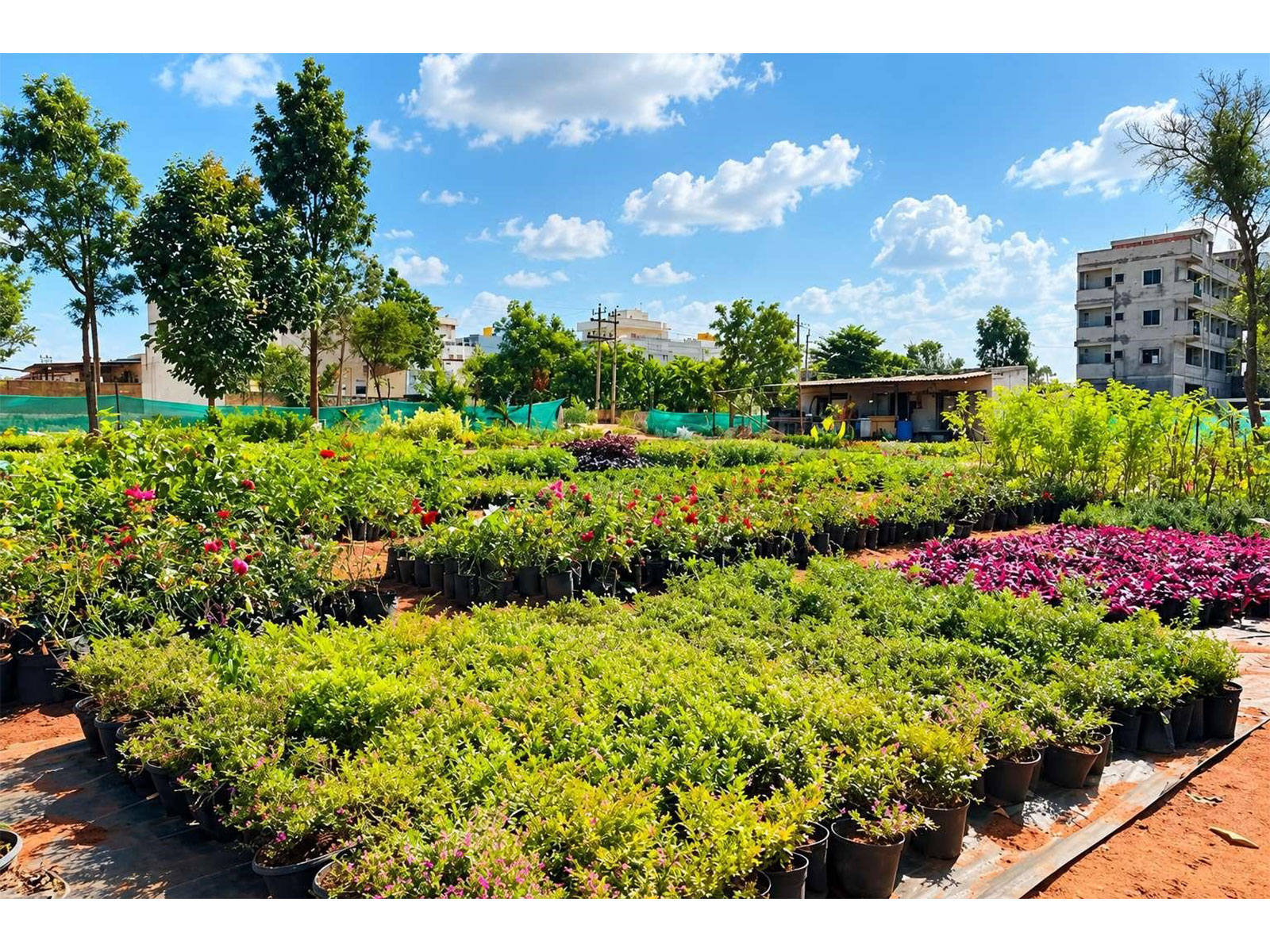 Urvann Goes Back to the Roots With Its Own Farms to Put Plant Quality and Customer Experience First