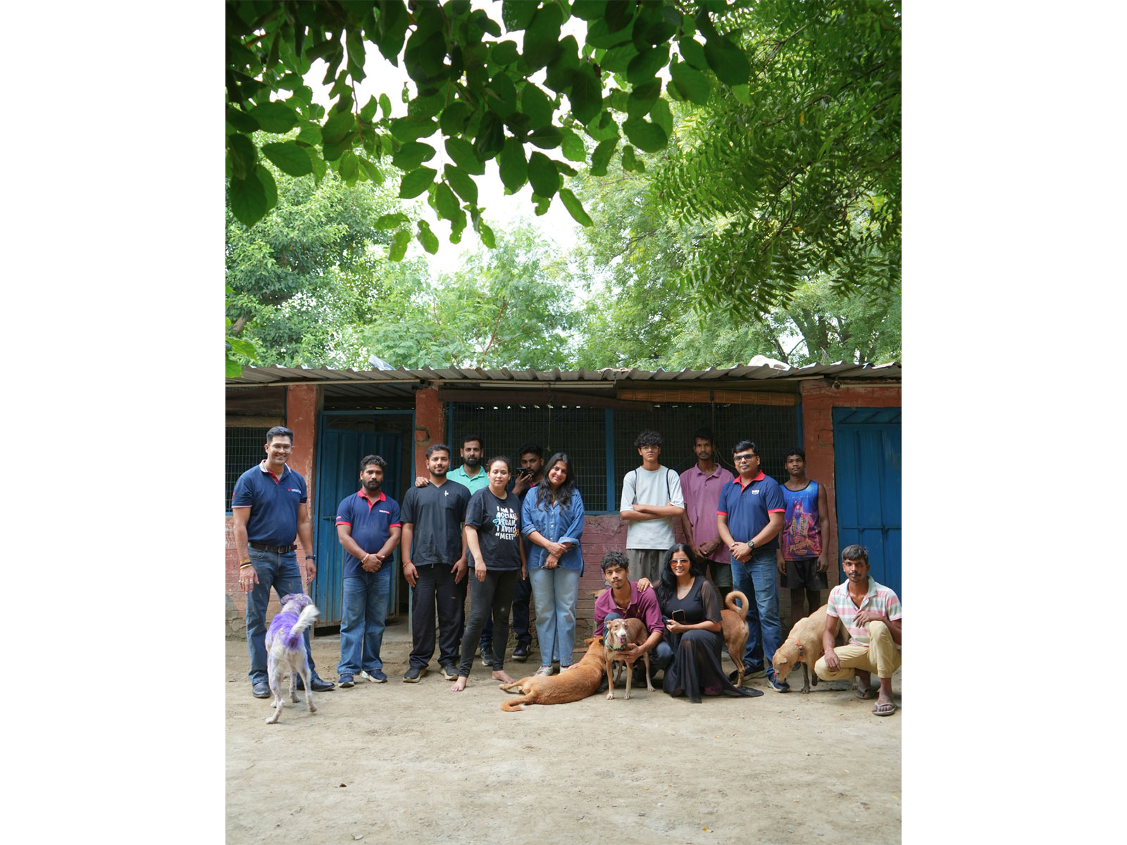 Zigly Foundation's Community Feeding Initiative Crosses 5,000 Kg Mark, Reaching Dogs Across Shelters and Communities