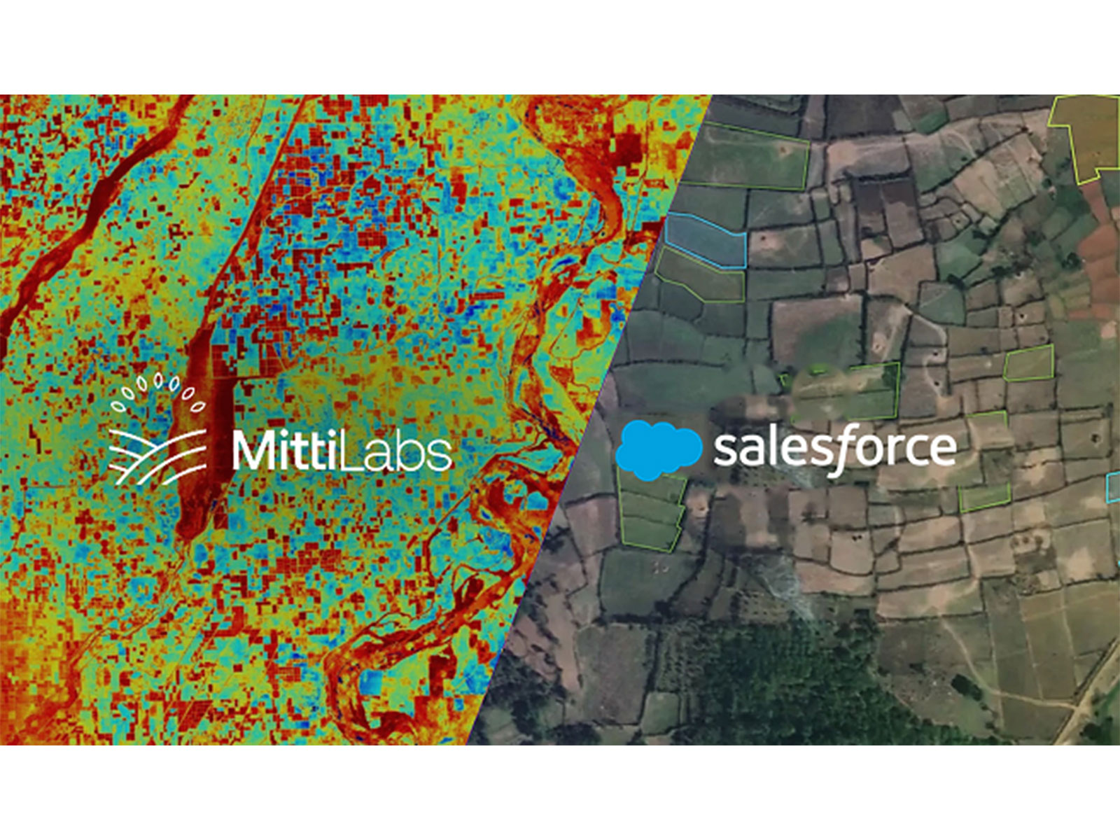 Mitti Labs & Salesforce partner to scale water-saving rice farming practices that reduce methane emissions 
