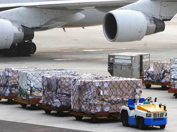 Air cargo bottlenecks can put lives at risk, urgent govt action required: IATA