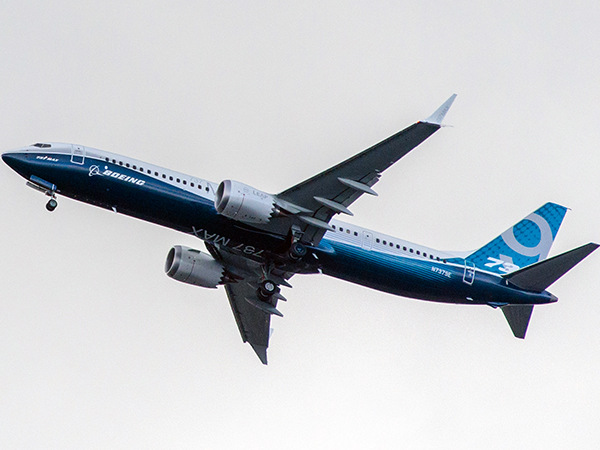 Bird strike reportedly suspected of having role in deadly Ethiopian Airlines Boeing 737 Max crash