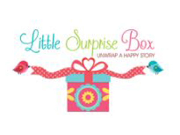 Little Surprise Box
