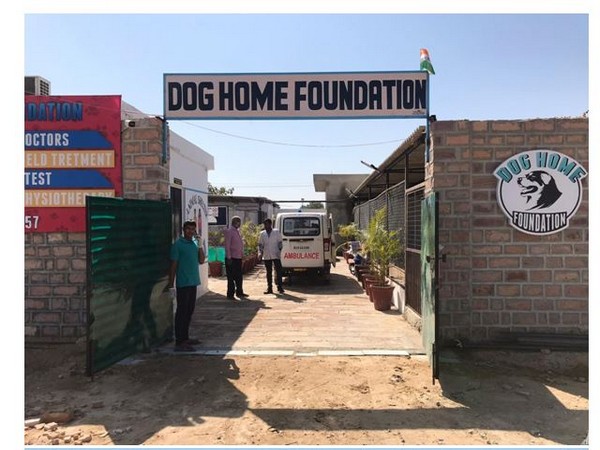 Dog Home Foundation