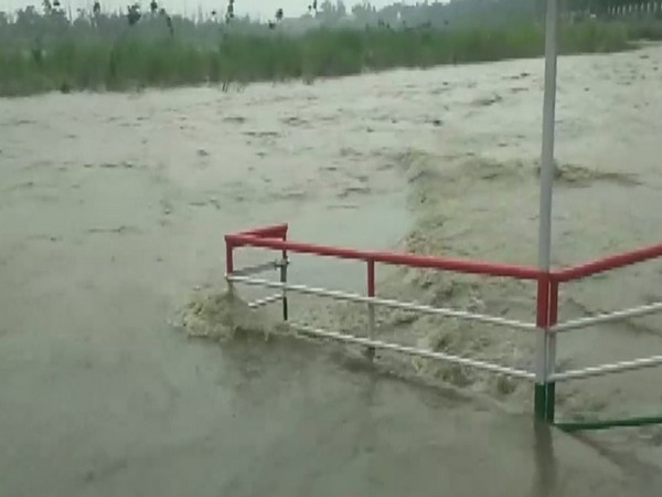 Rishikesh: Ganga close to danger mark due to heavy downpour