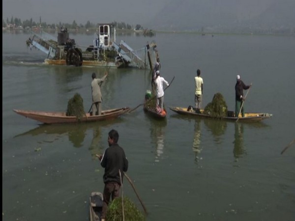 Dal Lake in Srinagar undergoes cleaning ahead of winter tourism