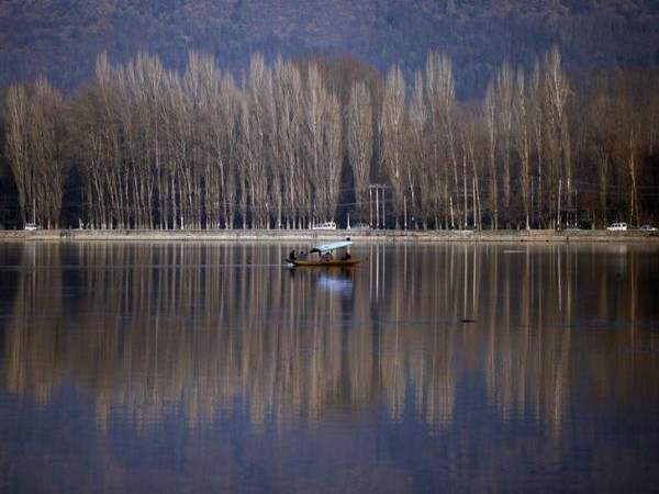 Webinar on 'Cogitating Kashmir' held in London