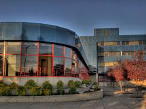 Police investigate threats against schools in Edmonton, Calgary and Camrose