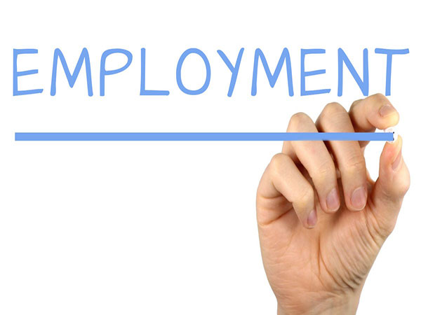 Employment among 'prime age' men declining, triggering 'alarm'