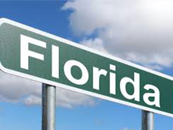 Florida woman who turned in estranged husband's guns faces trespassing charge, other counts dropped